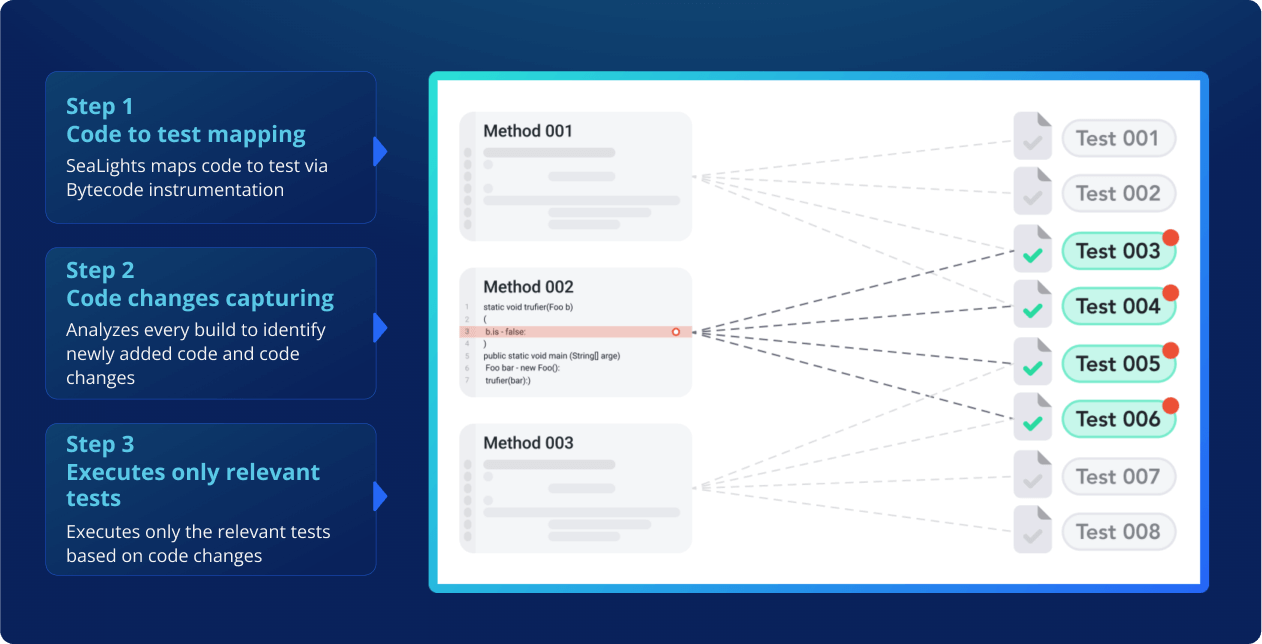 Image showing steps for using SeaLights starting with code to test mapping